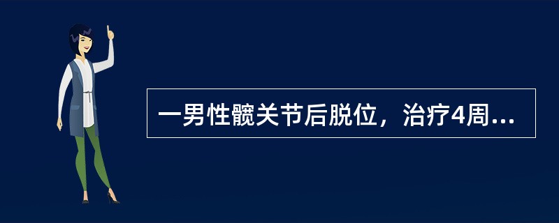 一男性髋关节后脱位，治疗4周后，自行下地行走，正常活动，可能发生下列哪种情况（）