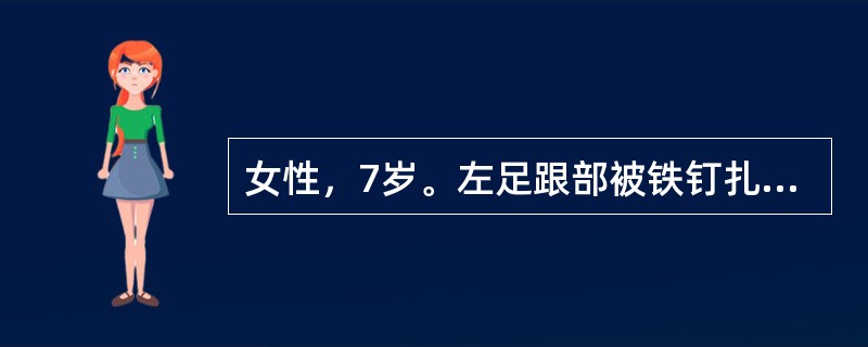 女性，7岁。左足跟部被铁钉扎伤4小时，病人2年前曾注射过百日咳、白喉、破伤风疫苗，为预防破伤风，此次应