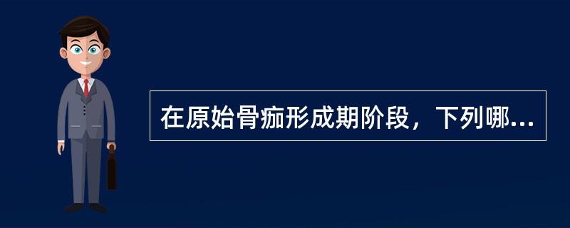 在原始骨痂形成期阶段，下列哪项是错误的