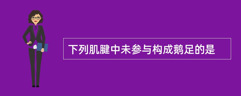 下列肌腱中未参与构成鹅足的是