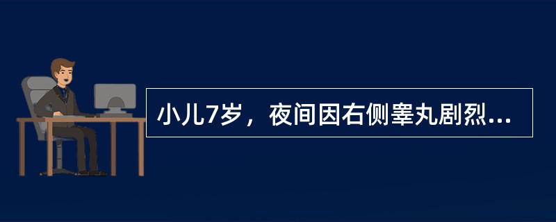 小儿7岁，夜间因右侧睾丸剧烈疼痛就诊，查体：右侧阴囊略红肿，左侧外观正常，双侧睾丸、附睾、精索未及明显异常，阴囊抬高试验阴性，超声检查：双侧睾丸血流未见明显异常，诊断考虑