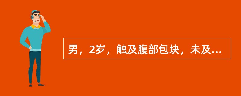 男，2岁，触及腹部包块，未及肿大淋巴结，请根据所示图像，选择最可能诊断()<img border="0" style="width: 201px; height: