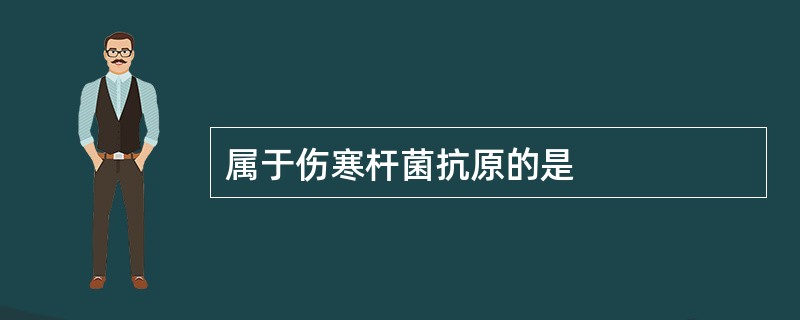 属于伤寒杆菌抗原的是