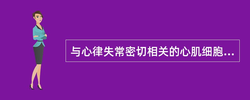 与心律失常密切相关的心肌细胞特性包括