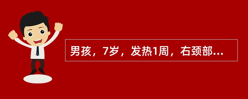 男孩，7岁，发热1周，右颈部肿块。体检：精神可，右颈部可触及1cm×5cm淋巴结，触痛。咽充血，扁桃体Ⅱ度肿大，见较多分泌物。肝肋下4cm，脾肋下3cm。WBC13.8×10<img borde