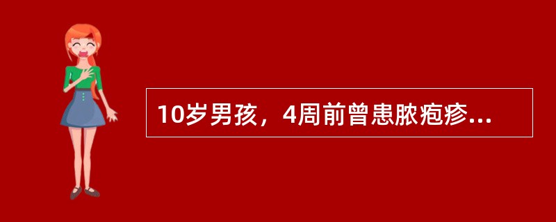 10岁男孩，4周前曾患脓疱疹，3天来眼睑水肿，尿少，肉眼血尿，血压150/105mmHg，尿蛋白（+++），红细胞满视野，血红蛋白95g/L，ASO800，红细胞沉降率50mm/h，血尿素氮10mmo