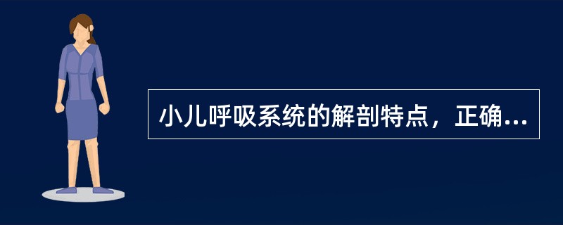 小儿呼吸系统的解剖特点，正确的是