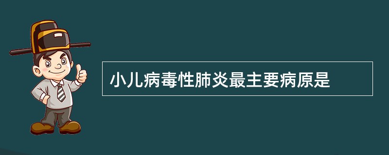 小儿病毒性肺炎最主要病原是