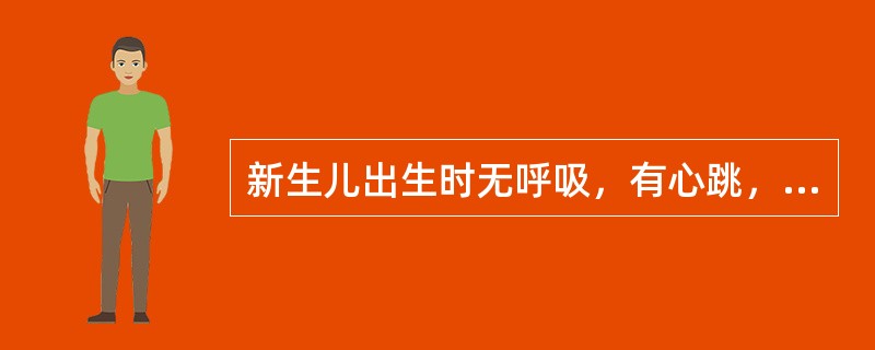 新生儿出生时无呼吸，有心跳，面色青紫。应立即作出的处理措施是