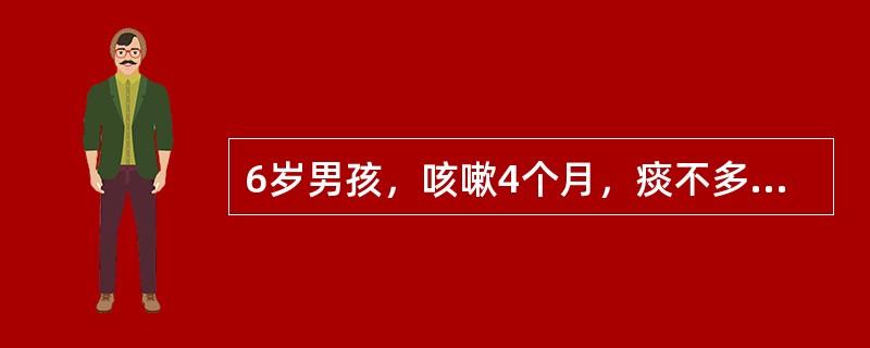 6岁男孩，咳嗽4个月，痰不多，常于凌晨咳醒，活动后也咳嗽，一直无发热，曾服用红霉素等多种抗生素均无效，加用氨茶碱后症状明显减轻。既往无湿疹史，体检：两肺呼吸音粗糙。考虑最可能的诊断是