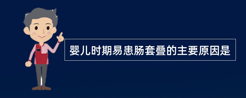 婴儿时期易患肠套叠的主要原因是