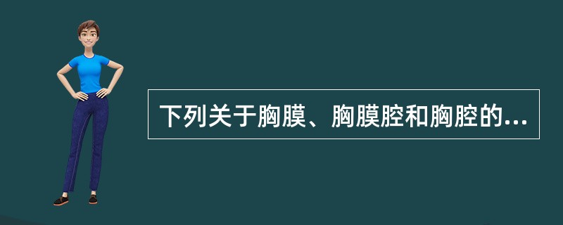 下列关于胸膜、胸膜腔和胸腔的描述错误的是（）