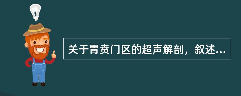 关于胃贲门区的超声解剖，叙述错误的是（）