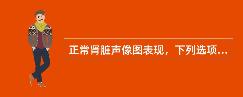 正常肾脏声像图表现，下列选项不正确的是（）