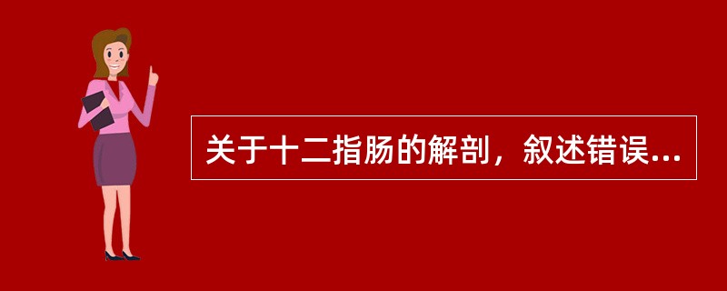 关于十二指肠的解剖，叙述错误的有（）