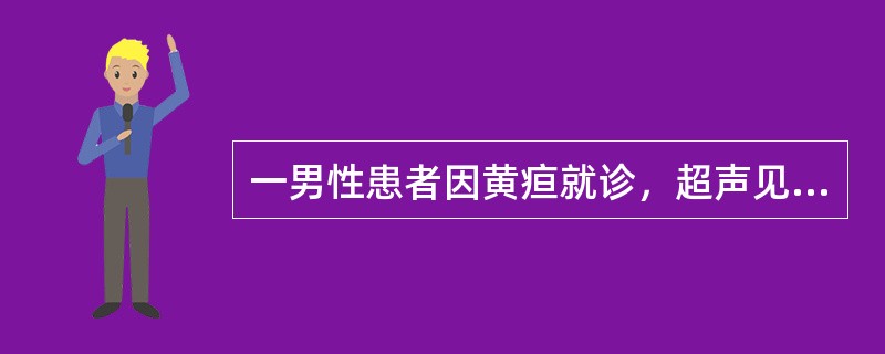 一男性患者因黄疸就诊，超声见肝内外胆管扩张，胆囊萎缩，内腔变小，扩张的胆总管下端截断。于胆总管截断处探及一形态不规则的低回声团，其内可见强回声，该团块侵及胰头，胰管内径为6mm，那么可能的阻塞病因是（