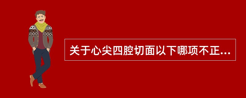 关于心尖四腔切面以下哪项不正确（）