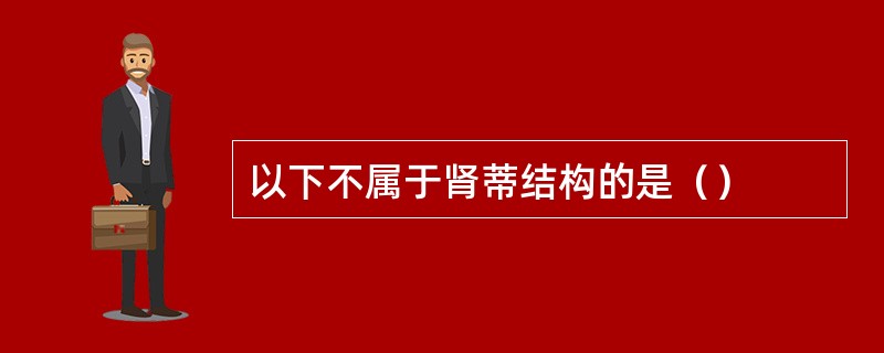 以下不属于肾蒂结构的是（）