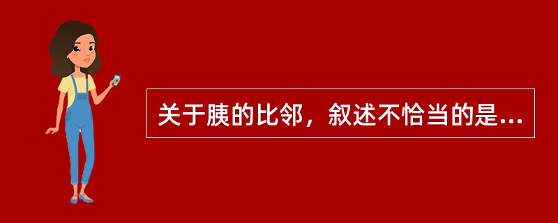 关于胰的比邻，叙述不恰当的是（）
