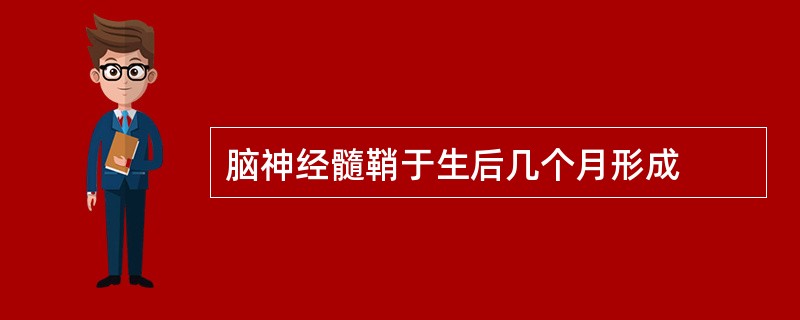 脑神经髓鞘于生后几个月形成