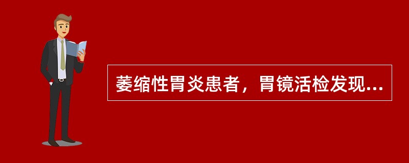 萎缩性胃炎患者，胃镜活检发现中度不典型增生者，最重要的措施是