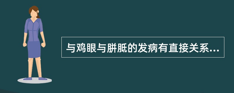 与鸡眼与胼胝的发病有直接关系的是()