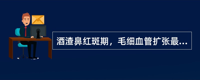 酒渣鼻红斑期，毛细血管扩张最明显的部位是()