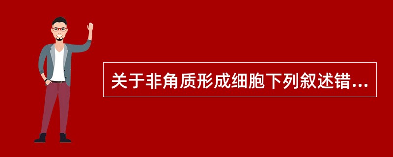 关于非角质形成细胞下列叙述错误的是