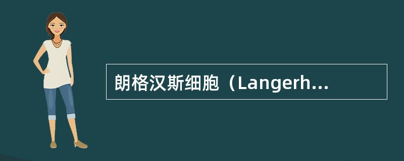 朗格汉斯细胞（Langerhanscell）不具备的功能是