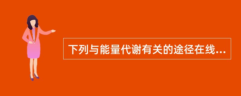 下列与能量代谢有关的途径在线粒体内进行，哪项除外()