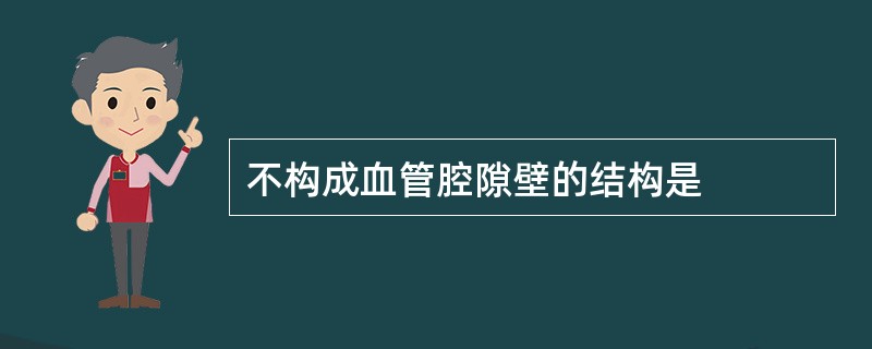 不构成血管腔隙壁的结构是