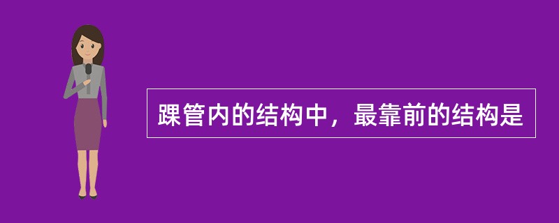 踝管内的结构中，最靠前的结构是