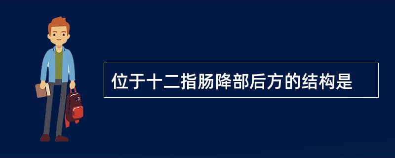 位于十二指肠降部后方的结构是