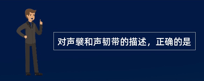对声襞和声韧带的描述，正确的是