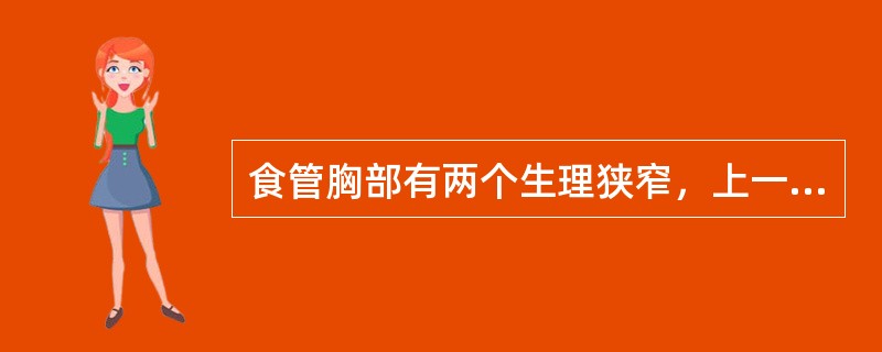 食管胸部有两个生理狭窄，上一个狭窄位于