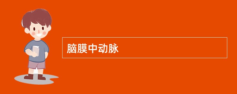 脑膜中动脉