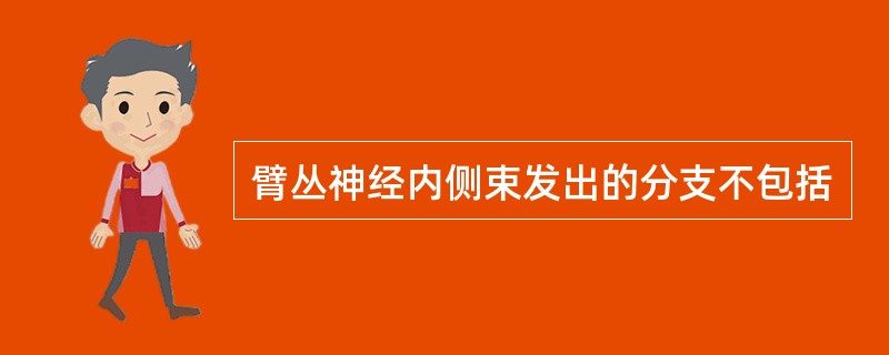 臂丛神经内侧束发出的分支不包括