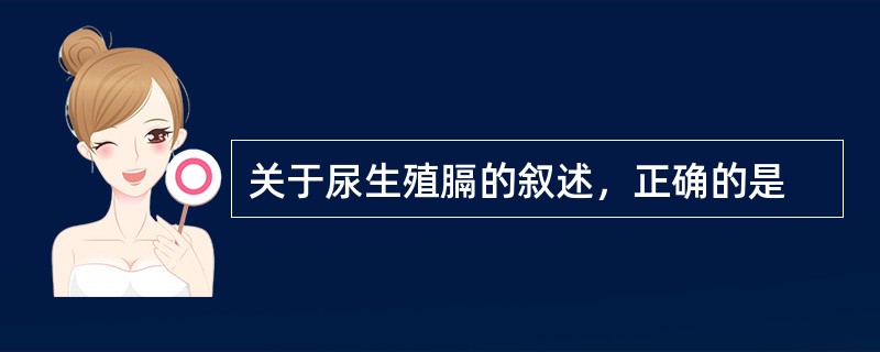 关于尿生殖膈的叙述，正确的是