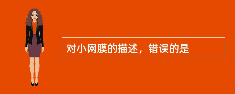 对小网膜的描述，错误的是