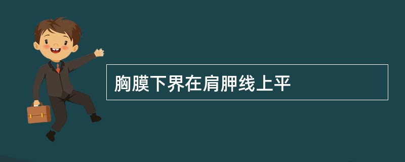 胸膜下界在肩胛线上平