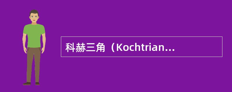 科赫三角（Kochtriangle）的组成包括