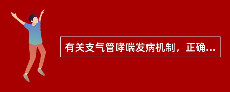 有关支气管哮喘发病机制，正确的是