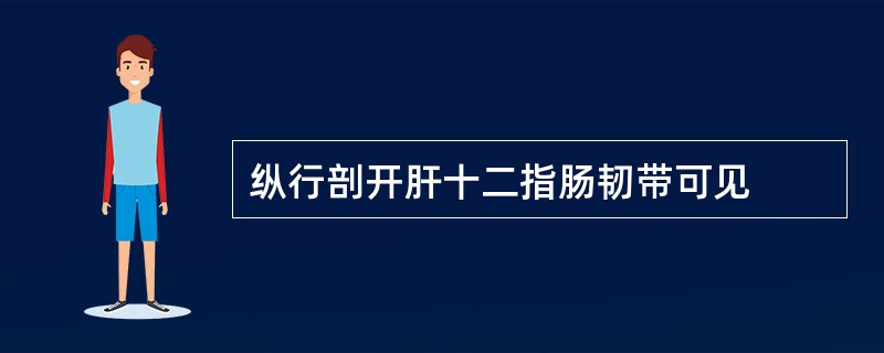 纵行剖开肝十二指肠韧带可见