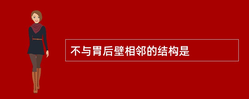 不与胃后壁相邻的结构是