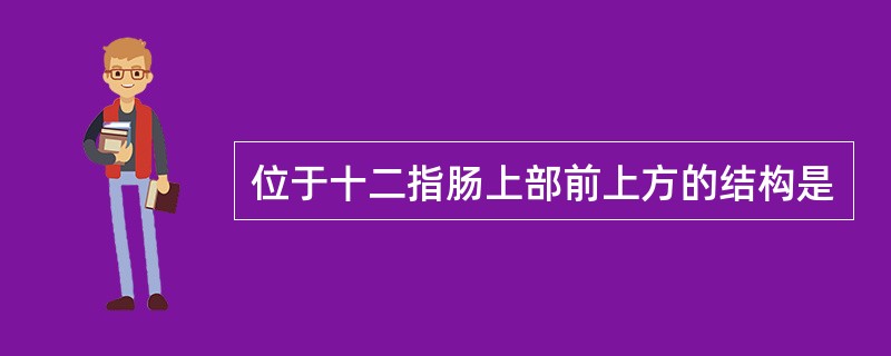 位于十二指肠上部前上方的结构是