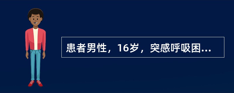 患者男性，16岁，突感呼吸困难，大汗淋漓，胸片检查见图，最合理的诊断是()<img border="0" style="width: 301px; height: