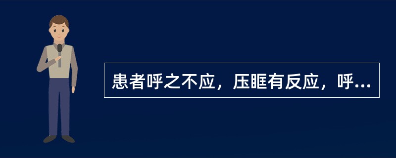 患者呼之不应，压眶有反应，呼吸平稳，腹壁反射消失，瞳孔对光反射及腱反射存在，其意识状态为