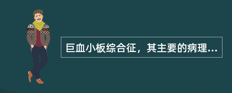 巨血小板综合征，其主要的病理基础为