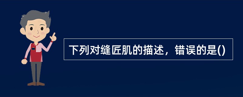 下列对缝匠肌的描述，错误的是()