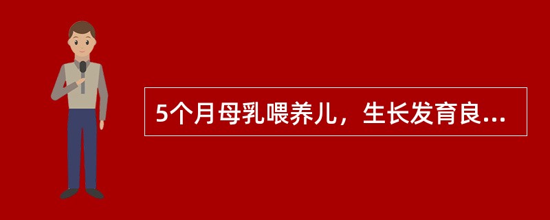 5个月母乳喂养儿，生长发育良好，现母乳量略有不足，正确的做法是 ( )